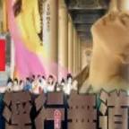 《玉薄圃》官人我要百度网盘